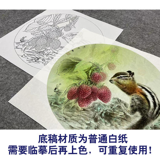 【大彩图】龚雪青工笔画白描底稿圆形小品荔枝小松鼠临摹勾线花鸟线稿XQ06 商品图3