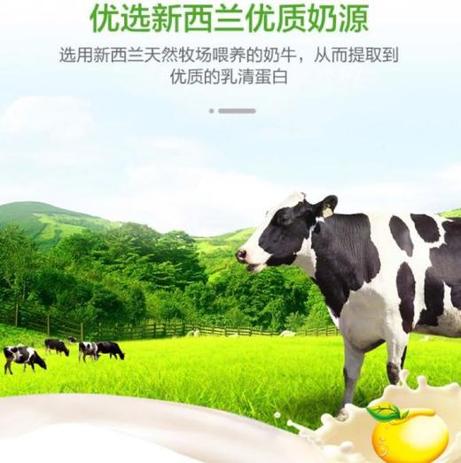 Naturies复合蛋白粉 商品图3