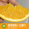 江西赣南脐橙新鲜橙子当季水果 商品缩略图3