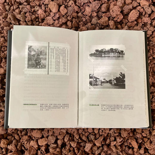 起跑线上：写给十五岁以前的我 李大潜 著 精装儿童文学数学家院士自传教育成长探索学习 定价58元 商品图1