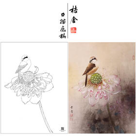 【大彩图】龚雪青工笔画白描底稿《独愁不惜花》荷花临摹勾线花鸟线稿XQ48