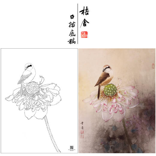 【大彩图】龚雪青工笔画白描底稿《独愁不惜花》荷花临摹勾线花鸟线稿XQ48 商品图0