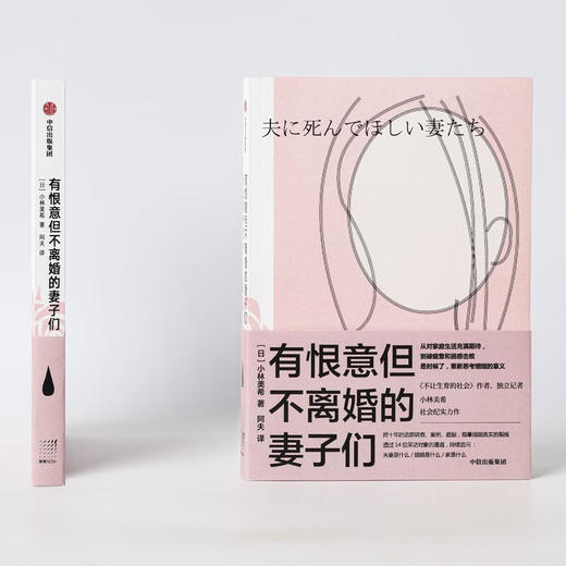 有恨意但不离婚的妻子们（春潮纪实系列）小林美希等著 中信出版社图书 商品图2