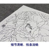 【大彩图】龚雪青工笔画白描底稿圆形小品《妃之三》牡丹临摹勾线花鸟线稿XQ16 商品缩略图4