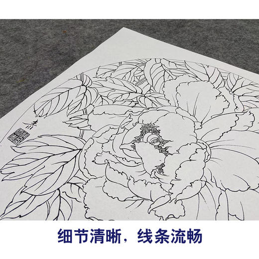 【大彩图】龚雪青工笔画白描底稿圆形小品《妃之三》牡丹临摹勾线花鸟线稿XQ16 商品图4