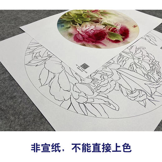 【大彩图】龚雪青工笔画白描底稿小品《晨曦》牡丹临摹勾线花鸟线稿XQ14 商品图2