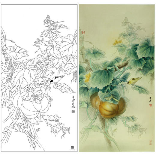 【大彩图】龚雪青工笔画白描底稿《乡间瓜趣》南瓜临摹勾线花鸟线稿XQ59 商品图0