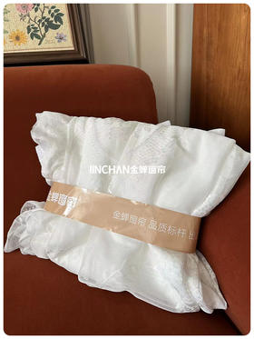 今日份的法式浪漫是巴黎纱给的！