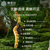 阿依舍甄选冬虫夏草鲜虫草 商品缩略图1