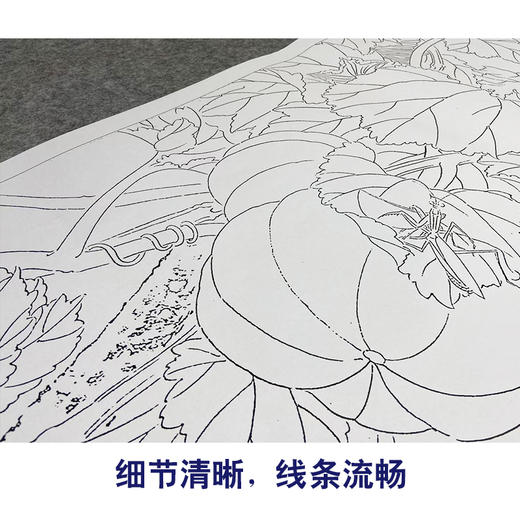 【大彩图】龚雪青工笔画白描底稿《乡间瓜趣》南瓜临摹勾线花鸟线稿XQ59 商品图4
