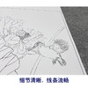【大彩图】龚雪青工笔画白描底稿斗方小品《荷花翠鸟》临摹勾线花鸟线稿XQ24 商品缩略图4