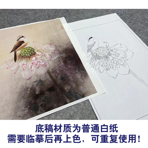 【大彩图】龚雪青工笔画白描底稿《独愁不惜花》荷花临摹勾线花鸟线稿XQ48 商品图3