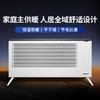 Bestherm火炬系列双制热双散热抗jun全屋主供暖电暖器H1 商品缩略图0