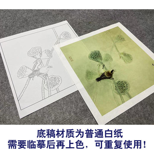 【大彩图】龚雪青工笔画白描底稿斗方小品《清露》莲蓬临摹勾线花鸟线稿XQ25 商品图3