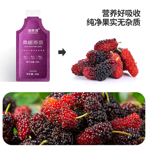 福东海 桑葚原浆300ml（30ml*10袋）桑椹汁袋装 纯大果桑椹鲜 商品图5