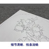 【大彩图】龚雪青工笔画白描底稿小品《玉兰花》临摹勾线花鸟线稿XQ13 商品缩略图4