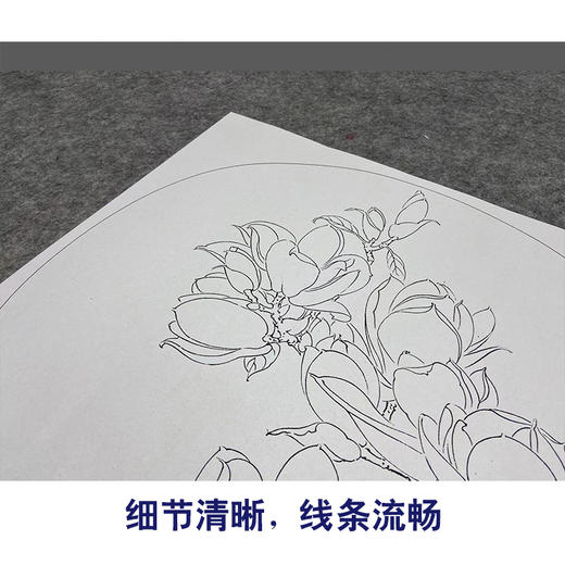 【大彩图】龚雪青工笔画白描底稿小品《玉兰花》临摹勾线花鸟线稿XQ13 商品图4