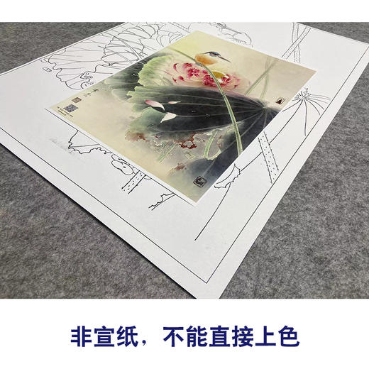 【大彩图】龚雪青工笔画白描底稿《翠鸟荷花》临摹勾线花鸟线稿XQ49 商品图2