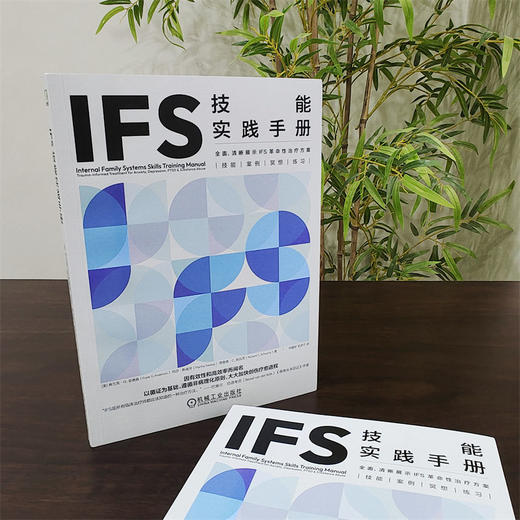 官网 IFS技能实践手册 弗兰克 安德森 IFS基础理论与临床实践教程书籍 IFS 治疗师咨询师常备手册 商品图2