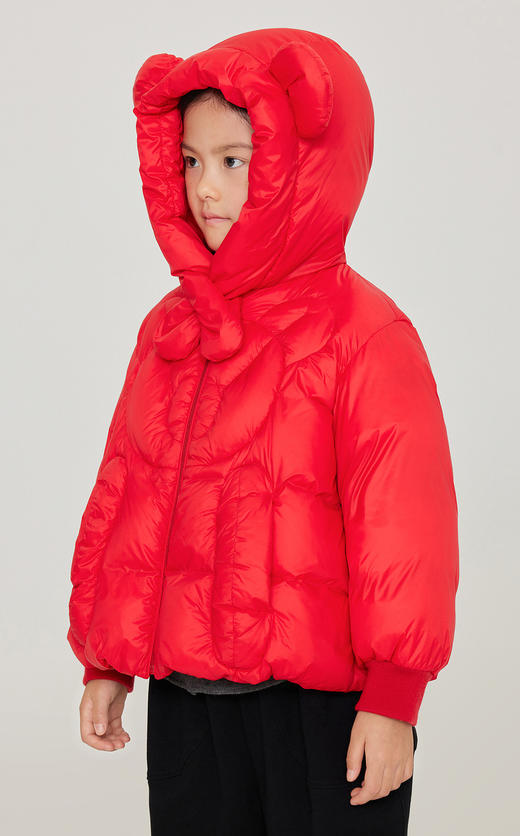 jnby  23年冬款    短款羽绒服   1NBC13340 商品图3