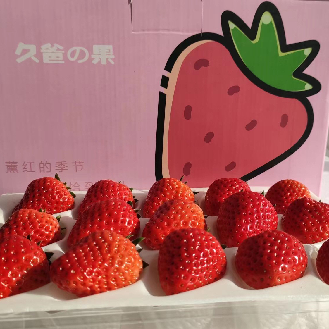 2025 丹东草莓 东港地标 蜜蜂授粉 自然成长 基地直发  顺丰发货