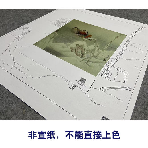 【大彩图】龚雪青工笔画白描底稿斗方小品《鸳鸯》临摹勾线花鸟线稿XQ57 商品图2