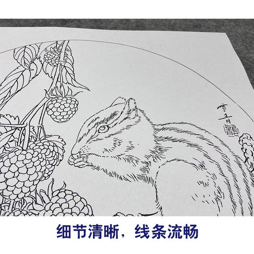 【大彩图】龚雪青工笔画白描底稿圆形小品荔枝小松鼠临摹勾线花鸟线稿XQ06 商品图4