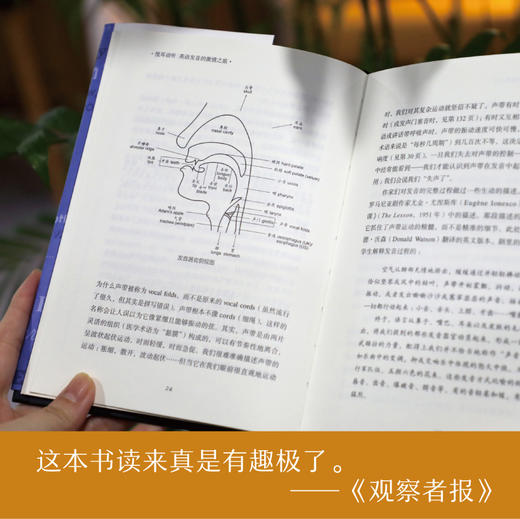 悦耳动听 英语发音的激情之旅   戴维·克里斯特尔 经典语音教科书 英剧口音语音英国方言 英国地方口音英语语音体系 商品图6