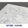 【大彩图】龚雪青工笔画白描底稿《牡丹鲤鱼》临摹勾线花鸟线稿XQ56 商品缩略图4