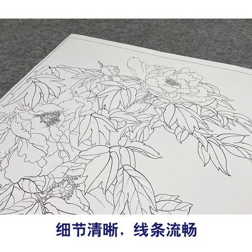 【大彩图】龚雪青工笔画白描底稿《牡丹鲤鱼》临摹勾线花鸟线稿XQ56 商品图4