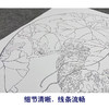 【大彩图】龚雪青工笔画白描底稿圆形小品《南瓜》临摹勾线花鸟线稿XQ05 商品缩略图4