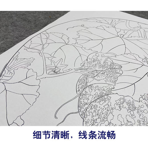 【大彩图】龚雪青工笔画白描底稿圆形小品《南瓜》临摹勾线花鸟线稿XQ05 商品图4
