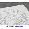 【大彩图】龚雪青工笔画白描底稿小品《牡丹》临摹勾线花鸟线稿XQ27 商品缩略图4