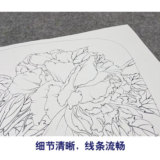 【大彩图】龚雪青工笔画白描底稿小品《牡丹》临摹勾线花鸟线稿XQ27 商品图4