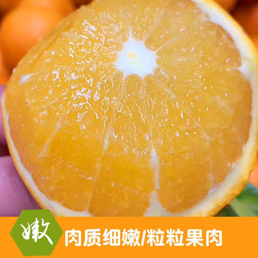 江西赣南脐橙新鲜橙子当季水果 商品图2