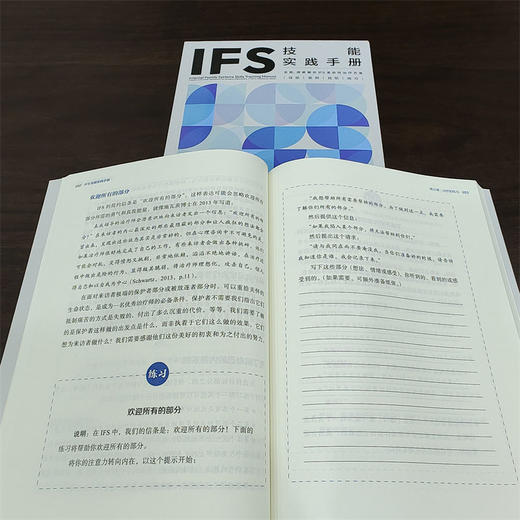 官网 IFS技能实践手册 弗兰克 安德森 IFS基础理论与临床实践教程书籍 IFS 治疗师咨询师常备手册 商品图3