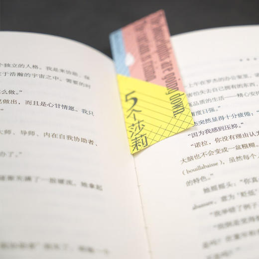 5个莎莉 （美）丹尼尔·凯斯 著 商品图6