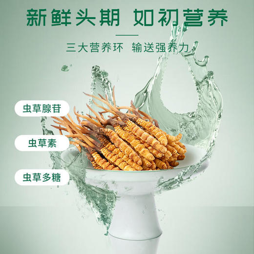阿依舍甄选冬虫夏草鲜虫草 商品图5