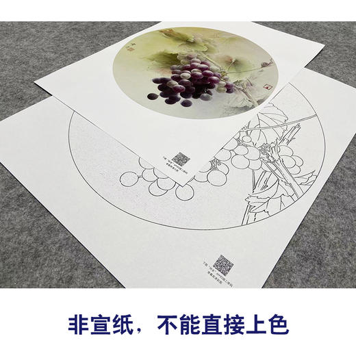 【大彩图】龚雪青工笔画白描底稿圆形小品《葡萄》临摹勾线花鸟线稿XQ07 商品图2