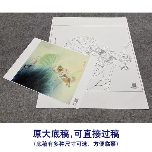 【大彩图】龚雪青工笔画白描底稿斗方小品《荷花翠鸟》临摹勾线花鸟线稿XQ24 商品图1