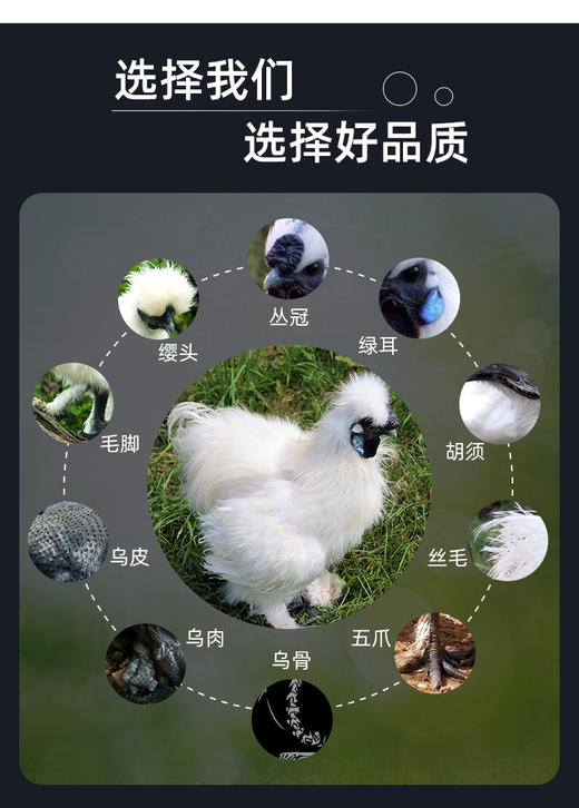 王氏正德生态散养白凤乌骨鸡，冬天搭配火锅绝配，到手整整三只，四季多，还赠送调料包 商品图6