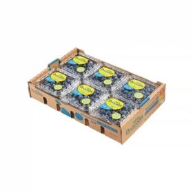 云南怡颗莓蓝莓 12盒/箱