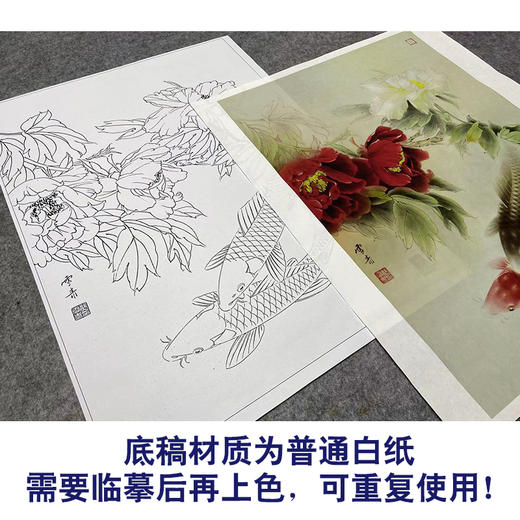 【大彩图】龚雪青工笔画白描底稿《牡丹鲤鱼》临摹勾线花鸟线稿XQ52 商品图3