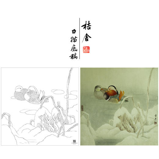 【大彩图】龚雪青工笔画白描底稿斗方小品《鸳鸯》临摹勾线花鸟线稿XQ57 商品图0