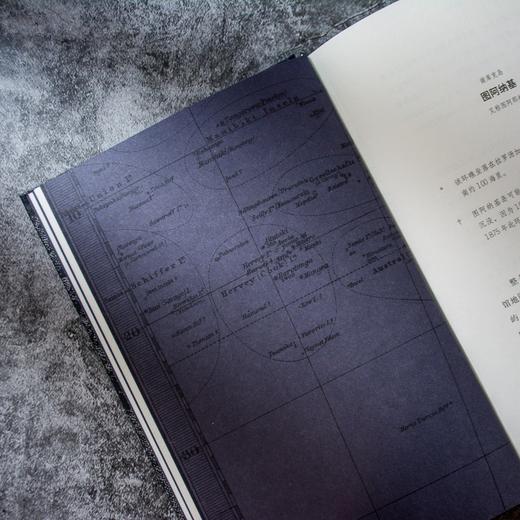 逝物录 （德）尤迪特·沙朗斯基 著 商品图5