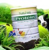 Naturies复合蛋白粉 商品缩略图0