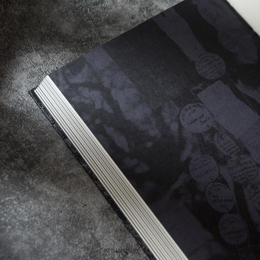 逝物录 （德）尤迪特·沙朗斯基 著 商品图4