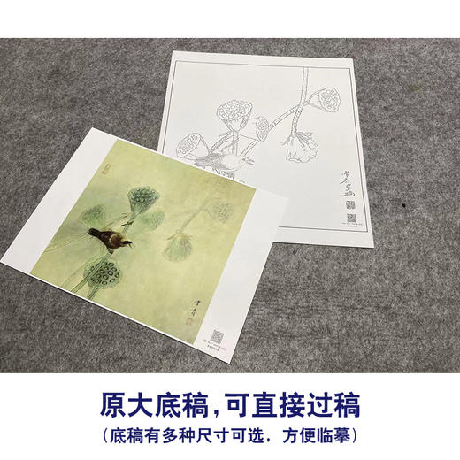 【大彩图】龚雪青工笔画白描底稿斗方小品《清露》莲蓬临摹勾线花鸟线稿XQ25 商品图1