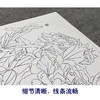 【大彩图】龚雪青工笔画白描底稿小品《晨曦》牡丹临摹勾线花鸟线稿XQ14 商品缩略图4