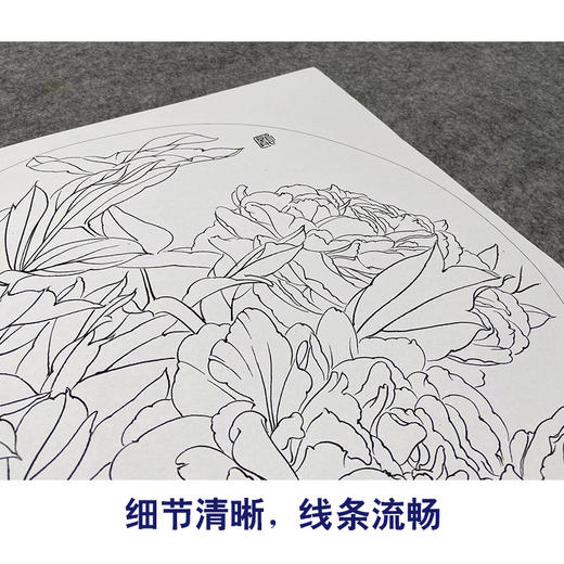 【大彩图】龚雪青工笔画白描底稿小品《晨曦》牡丹临摹勾线花鸟线稿XQ14 商品图4